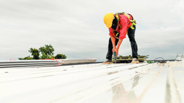 Best Roof Installation  in Foley, MN