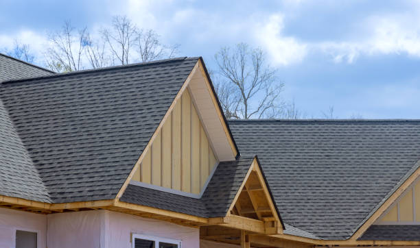 Best Hot Roofs  in Foley, MN